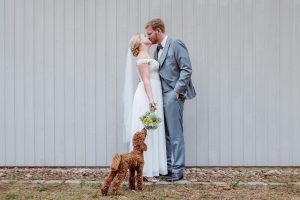 Hund schnüffelt an brautstrauss von brautpaar, hochzeitsfotografie magdeburg